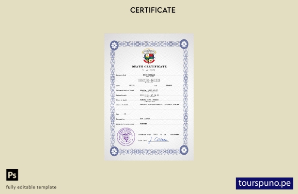 listo para imprimir plantilla PSD del certificado de defunción del registro c 70